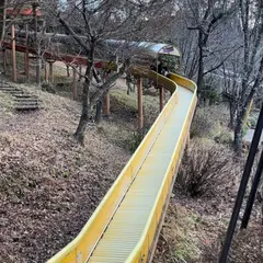 森の滑り台