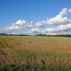 純白の丘