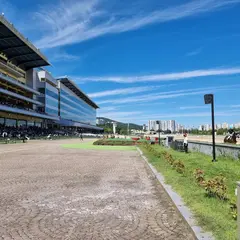 ソウル競馬場