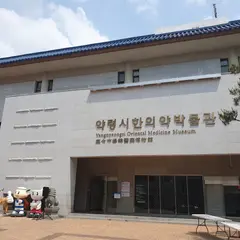 薬令市韓医薬博物館（Daegu Yangnyeongsi Museum of Oriental Medicine）
