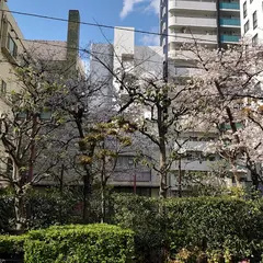 コインパーク西心斎橋２丁目 駐車場