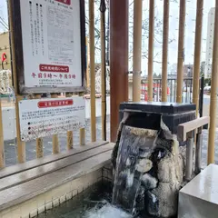 函館市熱帯植物園 足湯