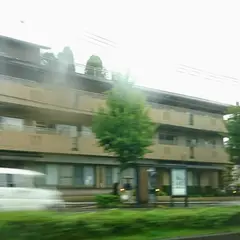 船岡山（バス）