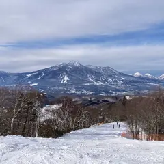 タングラムスキーサーカス