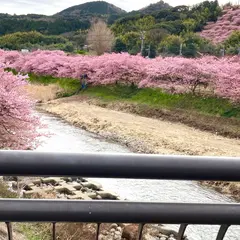 かわづいでゆ橋