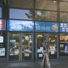 真鶴町立　遠藤貝類博物館