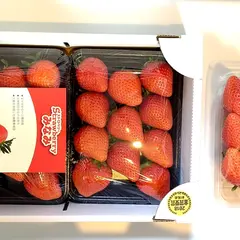 ストロベリーみなみ
