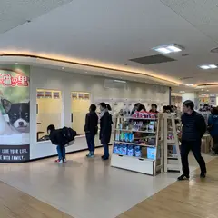 ペットショップ 犬の家＆猫の里 ゆめタウン姫路店