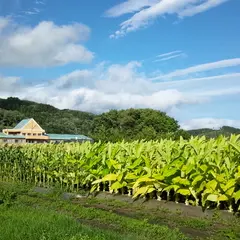 岩手県立軽米病院