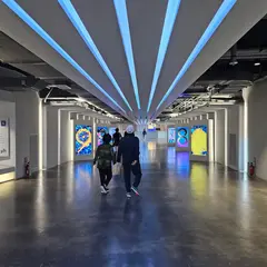 9.81 Park Jeju