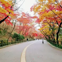 南山散策路