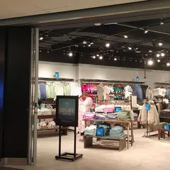 Hollister Co.