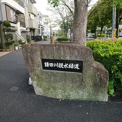 鎌田川親水緑道