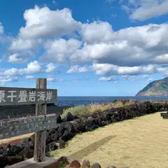 南原千畳岩海岸