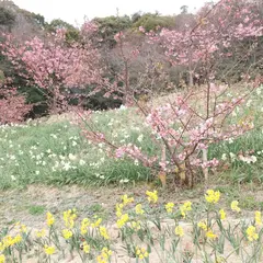 船隠し公園