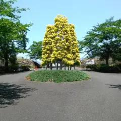 富士見台霊園