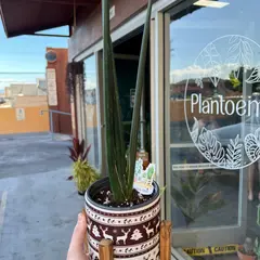 Plantoem