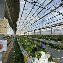 苺の時間 ひるま農園