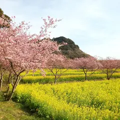 岩井の堰