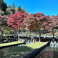 大暮養魚場