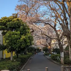 玉川上水旧水路緑道 西原緑道