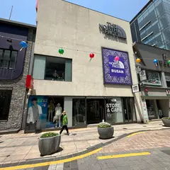 the north face