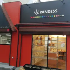 PANDESS