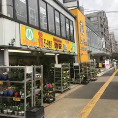 ビックフラワー