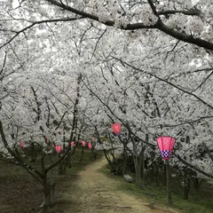 城山公園