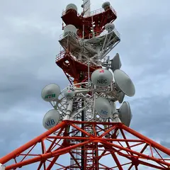 稲佐山公園ドッグラン