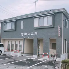 若林皮ふ科