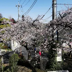 密蔵院