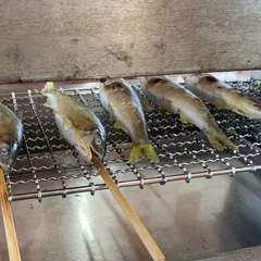 鮎料理 松水