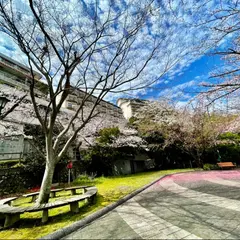 熱川桜坂公園