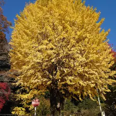 静原児童公園