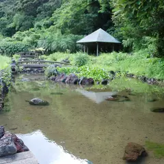 ホタル水路