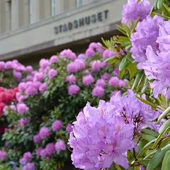 Mariehamns stadshus