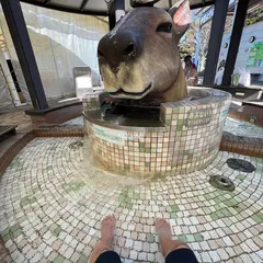 伊豆高原旅の駅 ぐらんぱるぽーと 足湯