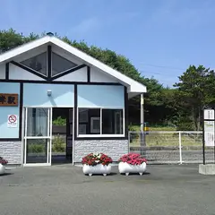 種差海岸駅