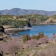 明屋海岸展望所