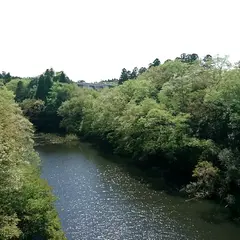 明神台調整池