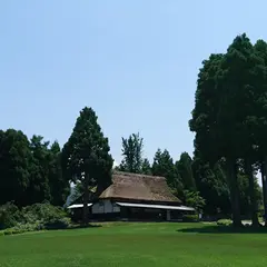 舟見山自然公園（舟見城址）