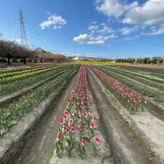 日産ビオパーク