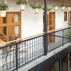 【La Locanda】天井 · 樹 Atreeium