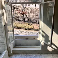 비아플레인