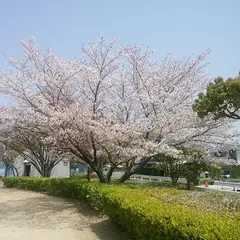 蓮池公園