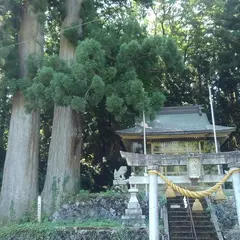 東赤尾の夫婦杉