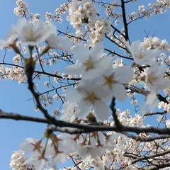 魚津総合公園 みらパーク