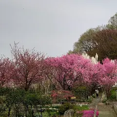 天神山ガーデン