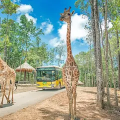Vinpearl Safari Phú Quốc